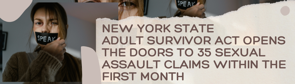 New York State Adult Survivor Act Opens the Doors to 35 Sexual Assault Claims within the First Month